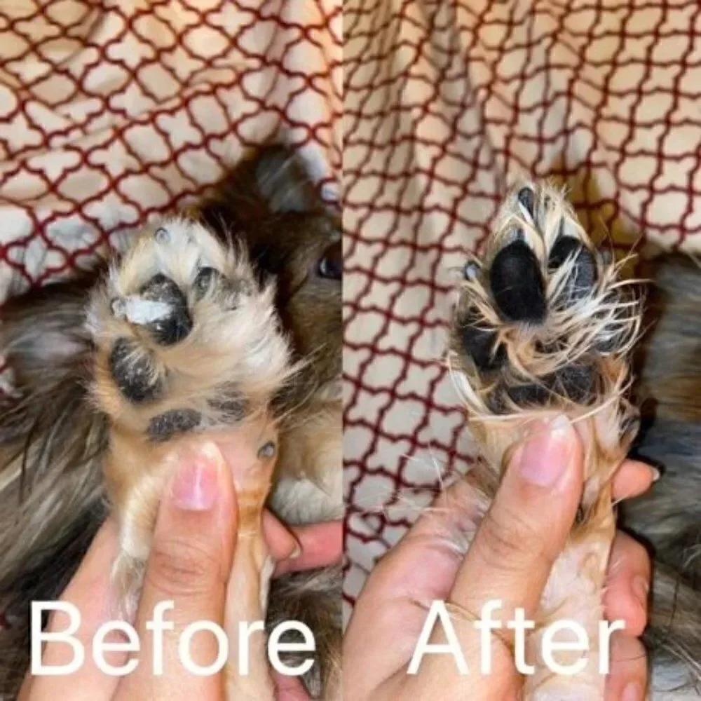 PET PAW CLEANING BRUSH